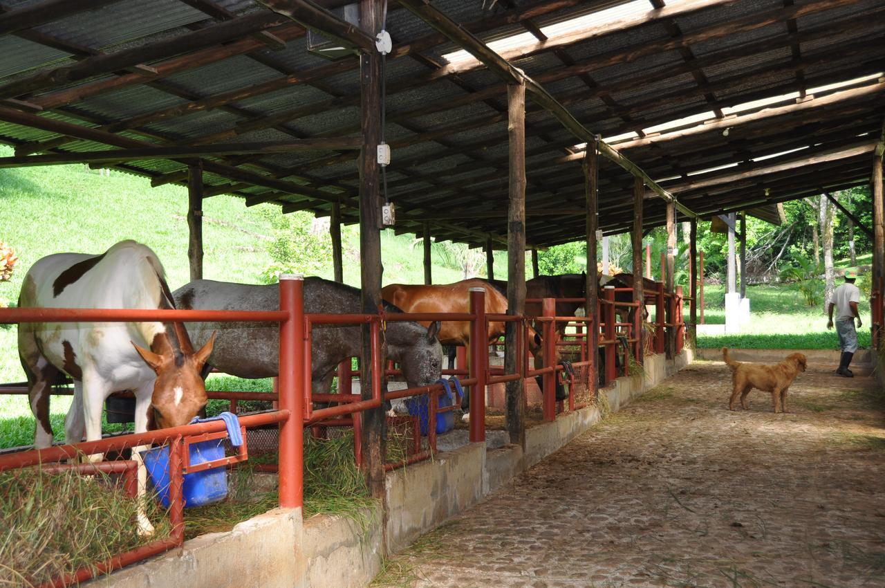 La Finca Lodge La Fortuna Buitenkant foto